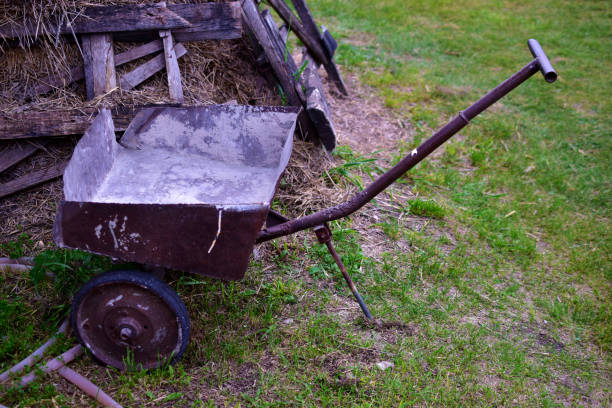 Wheelbarrow on the grass