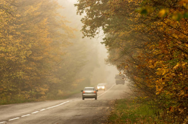 un'auto con i fari che attraversano la nebbiosa foresta autunnale. - street light fog morning country road foto e immagini stock