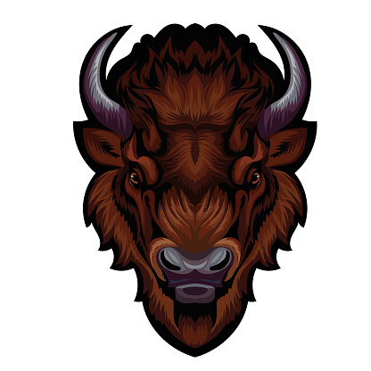 Mascot. Vector head of buffalo isolated