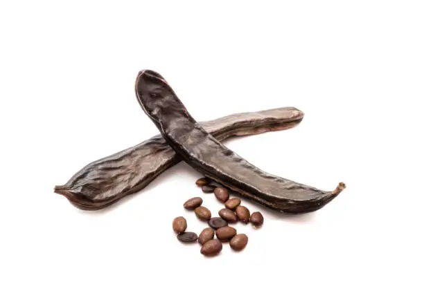 Photo of Carob Fruit Isolated on White Background