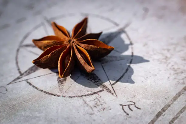 Close up of one star anise seed pod on a compass rose background