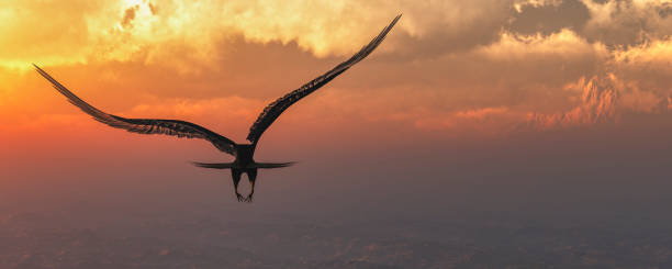 istock Eagle flying in the clouds at dawn 1272286927
