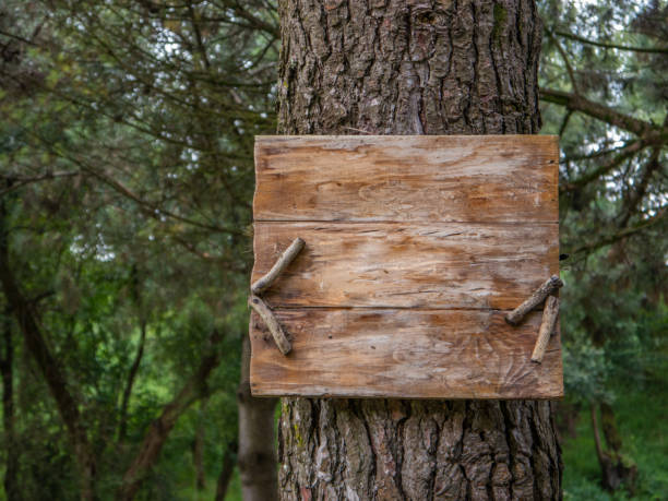 istock Rustic blank wood sign tied to a tree 1272287173