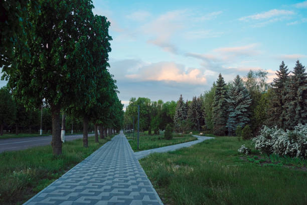 istock Pedestrian sidewalk, path at the empty street. Neighborhood scenery 1272287461