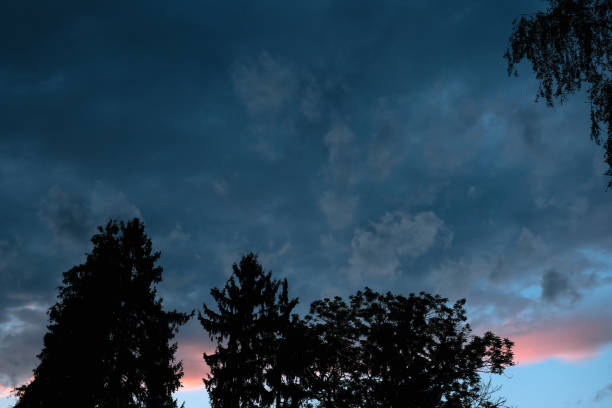 dark gray storm clouds after the rain texture and trees silhouettes
