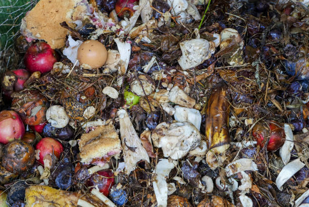 istock Organic waste in the compost in the garden 1272287601