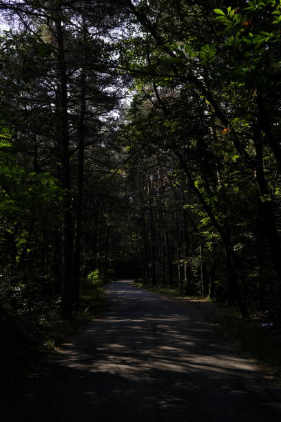 istock Country Road 1272288468