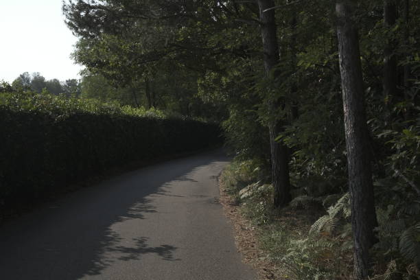 Country Road