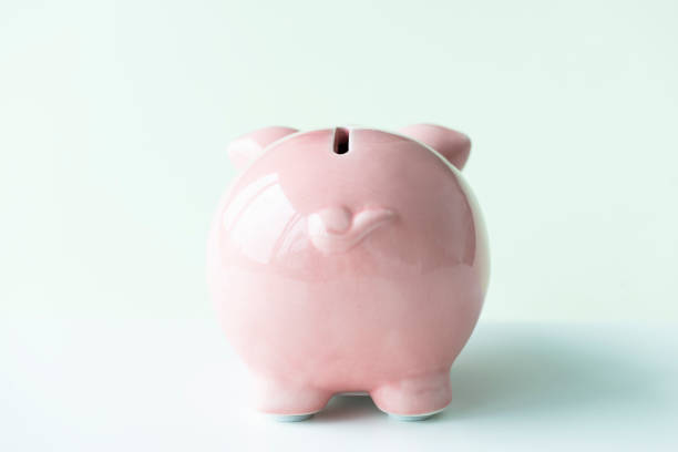 istock Back of Piggy Bank 1272288595