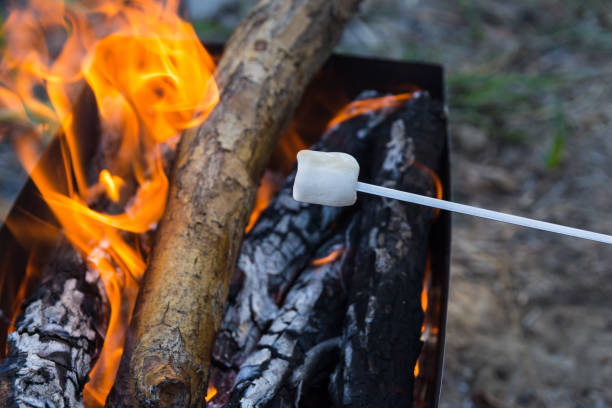 istock Marshmallow strung on skewer is being grilled under the fire. Dessert on the open fire. Dinner in the hiking camp on sunset 1272289596