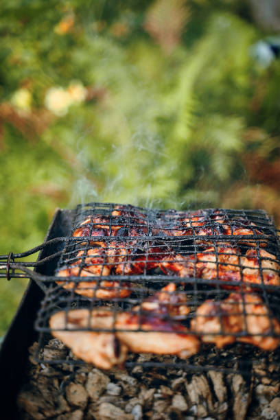 barbecue con ali di pollo infuocato sulla griglia - picnic family barbecue social gathering foto e immagini stock