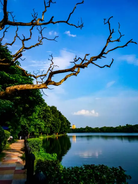 Photo of Rabindra Sarobar lake, a popular spot in Kolkata, West Bengal, India.