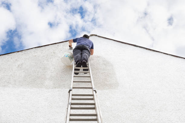 Man up a high ladder painting gable end of pebbledash house. High quality photo of a man up high on a ladder painting a white pebbledash wall on the gable end of a house. house painter ladder paint men stock pictures, royalty-free photos & images