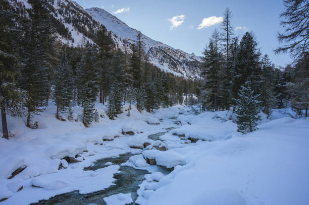 śnieżny krajobraz z rzeką roseg i lasem modrzewiowym, doliną roseg, pontresiną, kantonem grisons, engadin, szwajcaria - graubunden canton engadine pontresina valley zdjęcia i obrazy z banku zdjęć