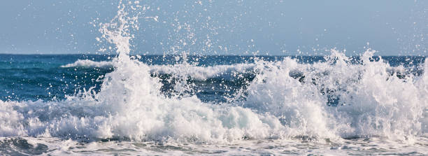 Wave. Water sports activities. Atlantic Ocean