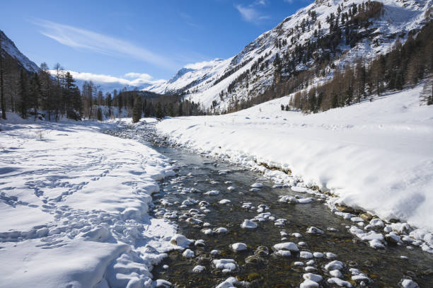 śnieżny krajobraz z rzeką roseg i lasem modrzewiowym, doliną roseg, pontresiną, kantonem grisons, engadin, szwajcaria - graubunden canton engadine pontresina valley zdjęcia i obrazy z banku zdjęć