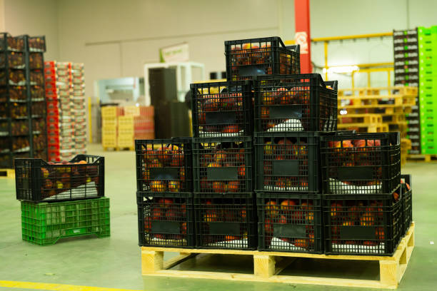 istock Fruits warehouse with plastic boxes of harvested peaches 1272293495