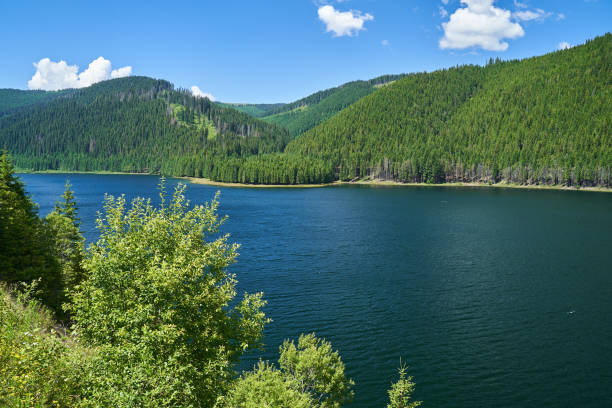 istock Lake in the mountains 1272294915