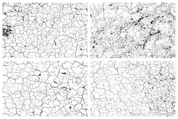 Vector illustration of Dry cracked earth texture set