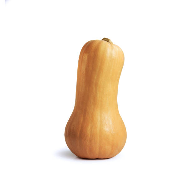 Butternut squash. Cucurbita moschata. One little beautiful orange pumpkin Butternut squash. Cucurbita moschata. One little beautiful orange pumpkin. Isolated. New harvest of the butternut pumpkin gourd stock pictures, royalty-free photos & images