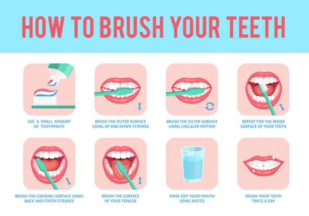 Vector illustration of How to brush teeth. Correct tooth brushing education instruction, toothbrush and toothpaste for oral hygiene dental care step by step stomatology poster with text, vector flat concept