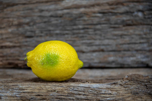 istock Yellow or Sicilian lemons. Sicilian lemons 1272299990