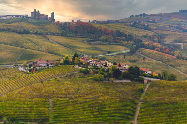 Elevated view of the Langhe vineyard hills at sunset in autumn, Unesco World Heritage Site, Alba, Cuneo province, Piedmont, Italy Elevated view of the Langhe vineyard hills at sunset in autumn, Unesco World Heritage Site, Alba, Cuneo province, Piedmont, Italy. High quality photo cuneo stock pictures, royalty-free photos & images