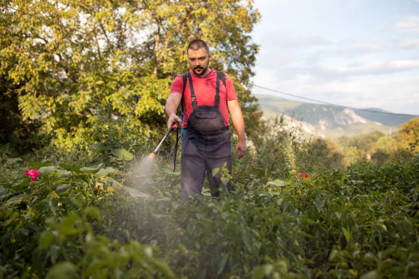 istock Man watering plants in garden 1272300043