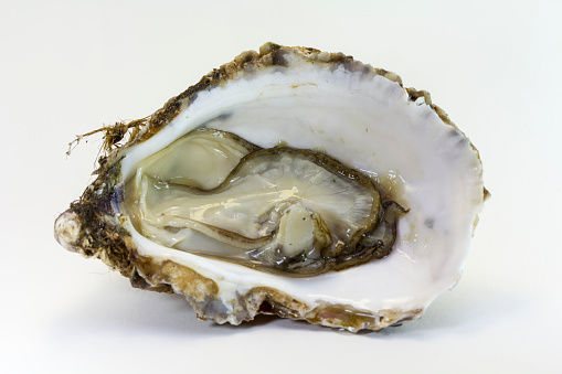 Open oyster with white pearl on sand