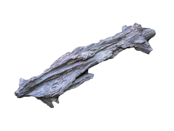 istock Rotten wooden isolated on white background 1272301346