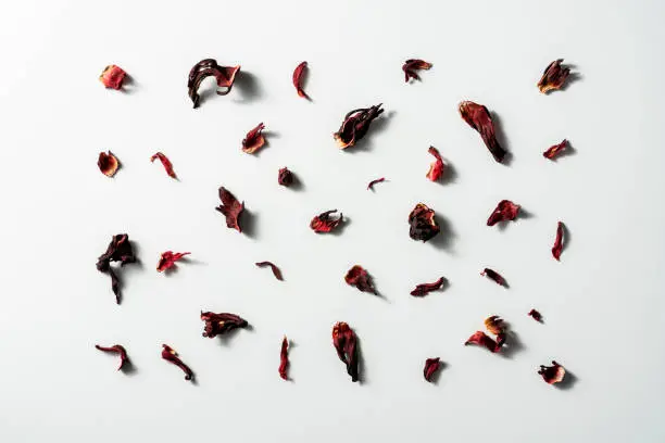Dried hibiscus leaves flat lay on white background