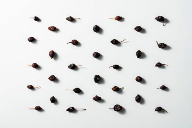 Dried rosehips on white background