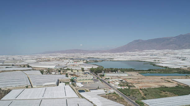 istock Aerial drone landscape greenhouse plastic sea 1272306692