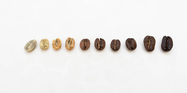 etapas de torra de grãos de café torrados - coffee crop bean seed directly above - fotografias e filmes do acervo