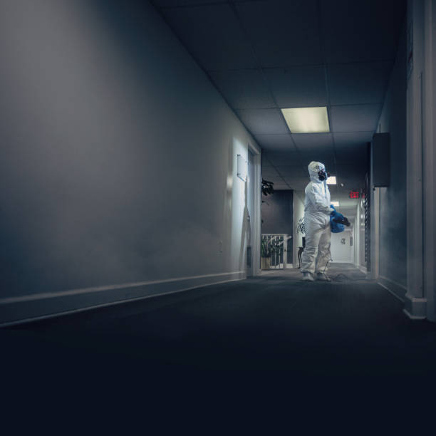 istock Decontamination and sanitation of building hallway 1272317483