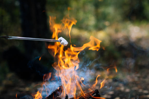 istock Marshmallow on a skewer on a campfire on vacation. 1272319191