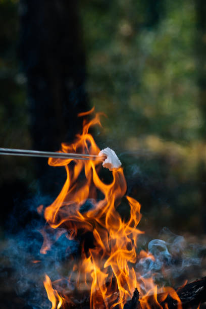 istock Marshmallow on a skewer on a campfire on vacation. 1272319192