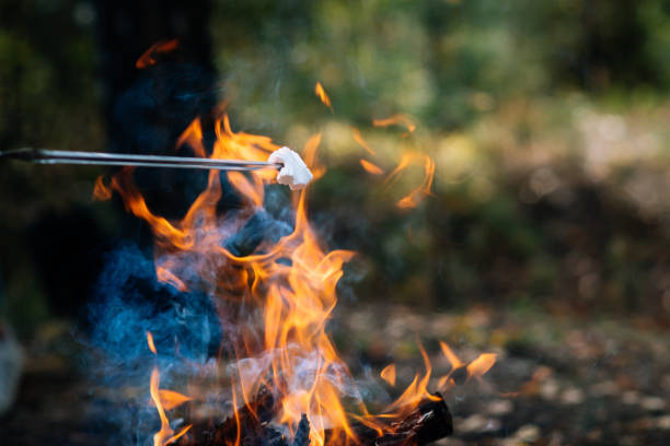 istock Marshmallow on a skewer on a campfire on vacation. 1272319195