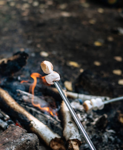 istock Small bonfire on outdoor recreation 1272319203