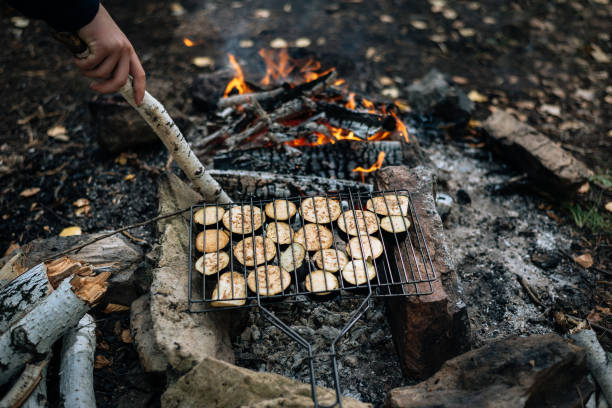 istock Grilled vegetables on a campfire on vacation 1272319207