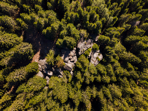 Markov Kamen famous rock in between the trees on the Kopaonik mountain in Serbia - Top down aerial view drone photo pine forest in summer or autumn day