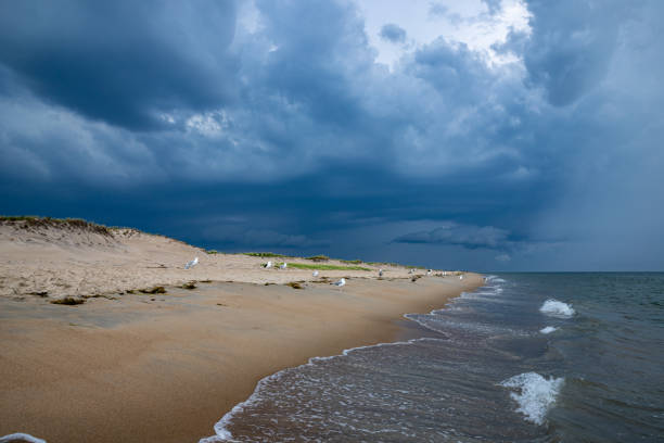 dark storm clouds above the empty sandy beach. - plum imagens e fotografias de stock