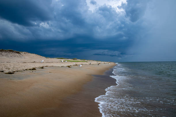 dark storm clouds rising above the beach shoreline. - plum imagens e fotografias de stock