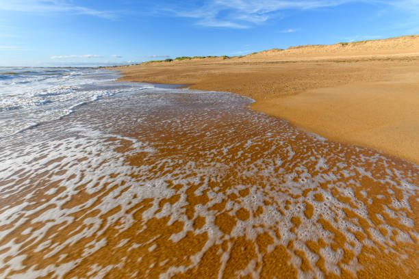 istock Sea foam on the beautiful sand Atlantic ocean beach. 1272325025