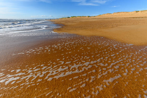 istock Sea foam on the beautiful sand Atlantic ocean beach. 1272325029