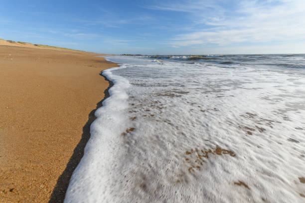 istock Sea foam on the beautiful sand Atlantic ocean beach. 1272325041