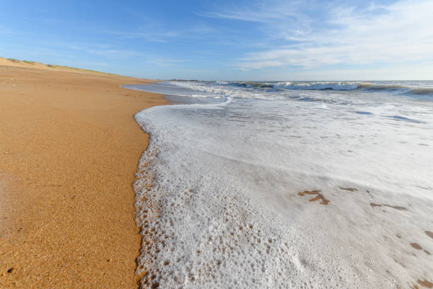 istock Sea foam on the beautiful sand Atlantic ocean beach. 1272325043