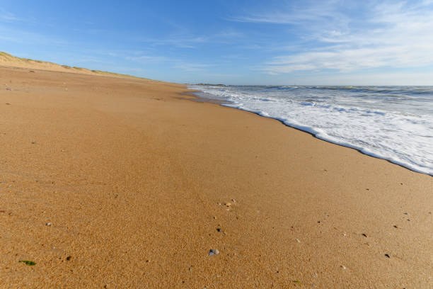 istock Sea foam on the beautiful sand Atlantic ocean beach. 1272325047