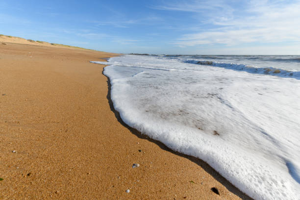 istock Sea foam on the beautiful sand Atlantic ocean beach. 1272325048