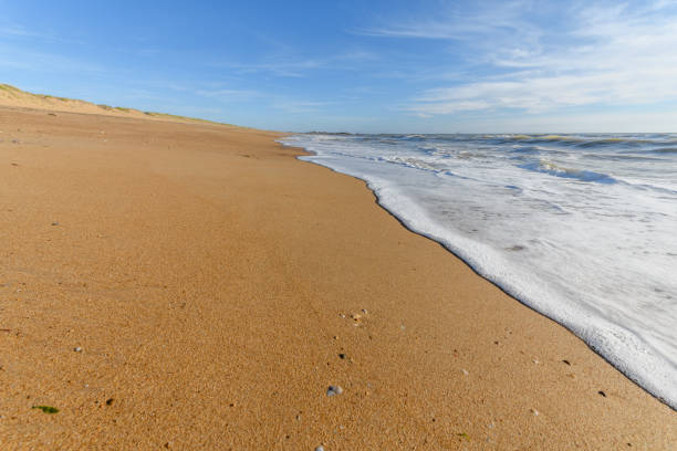 istock Sea foam on the beautiful sand Atlantic ocean beach. 1272325049